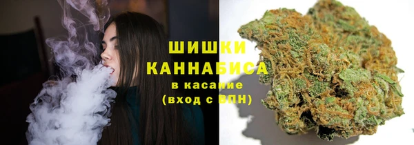 СК Дмитров