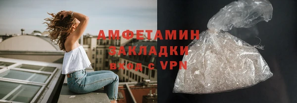 мдпв Дмитриев