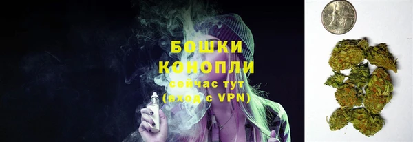 СК Дмитров