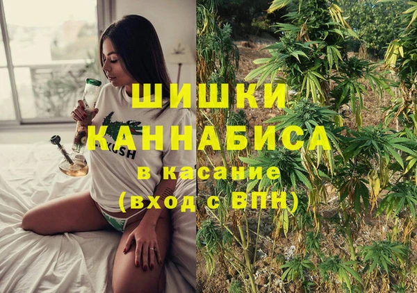 СК Дмитров
