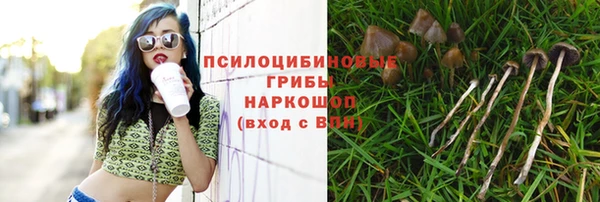 мдпв Дмитриев