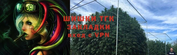 СК Дмитров